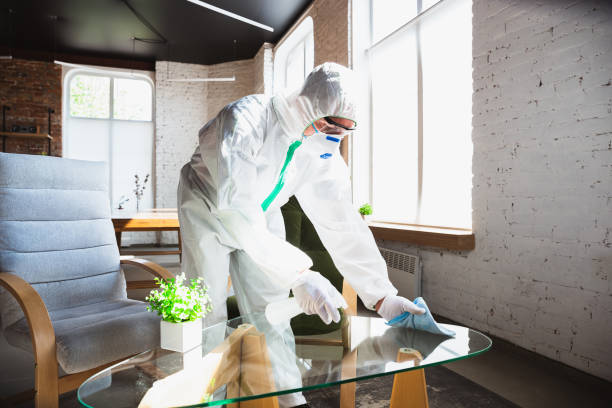 Why You Should Choose Our Mold Remediation Services in Big Lake, WA